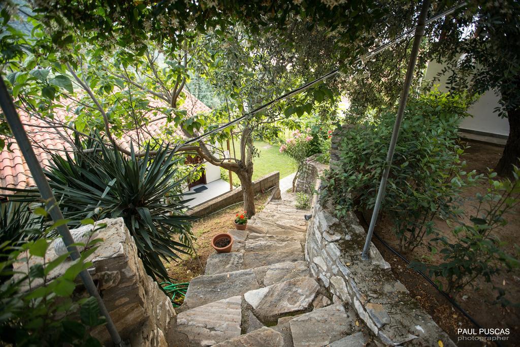 Vista Del Mare Luxury Villa Koinira Extérieur photo